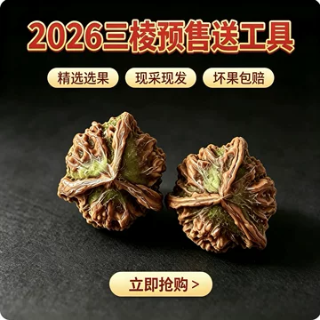 三棱文玩核桃对-三棱文玩核桃对促销价格、三棱文玩核桃对品牌- 淘宝