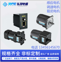 DPG Tobon Motor 6W15W25W40W60W90W Micro AC Gear Geared Motor Speed Control Motor Induction