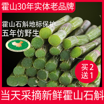(Buy 2 get 1) Five years imitation wild Anhui Huoshan production area fresh Dendrobium candidum fresh strip gift box 500g Dendrobium