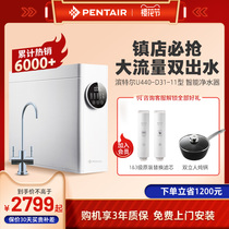 Hamtel Water Purifier Home Straight Drinking Double Water Purifier Reverse Osmosis Pure Water Purifier Filter Core Front B140 Suit