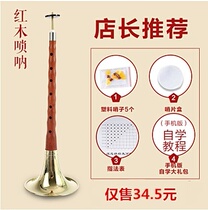 A variety of musical instruments Daquan Wood suona musical instruments full beginners adult professional national R & D starter old suona