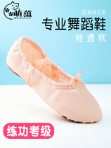 Childrens dance shoes soft-soled shoes girls ballet shoes kindergarten meat powder dance shoes adult cotton canvas shoes
