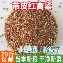 20kg red sorghum to feed the pigeons food stripped of its skin the poo and EE seed bird pigeon guan shang ge pigeon young birds into ge liang feed