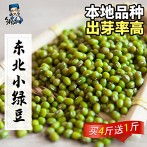 Northeast small mung bean 500g New grain whole grain hair bean sprout porridge raw materials special beans farm mung bean soup