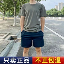 Physical training clothes suit Summer speed dry breathable round collar T-shirt Physical fitness clothes men and women military training sports short sleeves