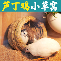 Grass Nest Rutin Chicken Quail Pigeons Lay Eggs to Build Outdoor Straw Woven Round Home Warm Indoor Pet Chicken Nest