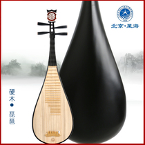 Professional hardwood pipa 8911R Beijing Xinghai Musical Instrument beginner beginner primary exam piano factory direct sales