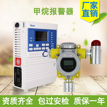 RBK-6000-ZL9N Ryan methane combustible gas alarm RBT-6000-ZLGM methane detector