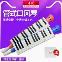 Chimei 27-key mouth organ for children beginners children primary school students use portable horn type blowpipe classroom teaching piano