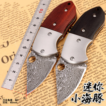 Mini knife outdoor self-defense folding knife high hardness sharp saber portable folding knife special forces open express knife