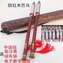 Beginner musical instrument monopoly Vertical blowing imitation mahogany Bau beginner removable resin bakelite Bau G tune F tune