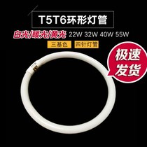 Ring tube 22w32w40w55w white light T5t6 four-pin fluorescent round household ceiling lamp energy saving three primary colors