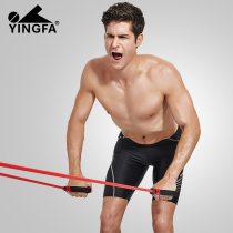 Yingfa pull rope professional swimming training equipment Silicone water traction rope for men and women pull machine arm exerciser