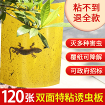 Double-sided sticky insect plate yellow small flying insects killing fruit flies needle Bee sticky plate Blue Plate thrips greenhouse Orchard