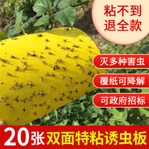Yellow plate double-sided sticky insect board Trap board paper paste yellow flying insect small black Flying Fruit Fly trap sticky board greenhouse