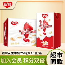 Yinlu peanut milk whole box 250ml * 16 soy milk drink milk breakfast compound protein beverage peanut milk