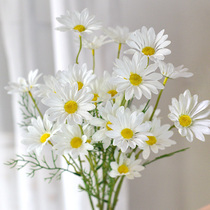 Chamomile daisy flower ins living room decoration artificial flower chamomile ornaments plastic dried flower table ornaments