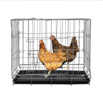 Chicken Cage Home Big Number Breeding Cage Home Flush chicken cage Automatic hookup chicken cage Egg Chicken Coop Cage