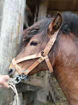 Horse bridle horse rope horse chew full set of Malone sets horse faucets dragon sets horse cage sets mouth accessories harness products