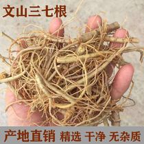 Sanqi root Sanqi root beard big root hair root stewed chicken wine Yunnan Wenshan specialty 500g