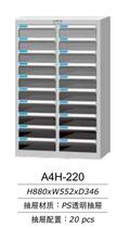  China Tiangang 20 draw file cabinet A4H-220 B4H-220 efficiency cabinet File cabinet Accounting certificate cabinet