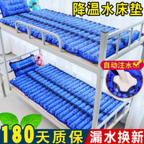 Student dormitory water bed water cushion water mat household single bed ice cushion cold cushion cooling mat water filling bag summer