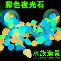 Cool colors of luminous powder Phosphor luminous stone midnight conch luminous shell rare fish tank decoration
