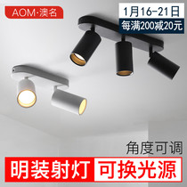 Minimal light-mounted spotlight led living room with no opening and adjustable angle double head three head Nordic creative anti-glare no main lamp