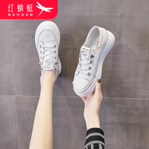 Red Dragonfly small white shoes womens shoes autumn thin 2021 New Wild explosive board shoes breathable canvas spring and autumn