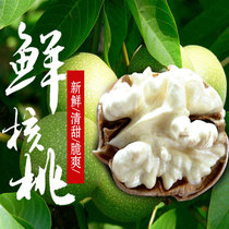 Yunnan plateau specialty to green skin fresh wet walnut thin skin walnut natural mature fresh fruit walnut nuts