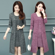 Fashion casual Joker Spring and Autumn new two-piece womens knitted cardigan base skirt cloak outside dress set