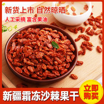 New Xinjiang specialty sea buckthorn dried fruit juice lyophilized whole fruit powder rich in sea buckthorn camellia 500g