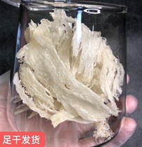 Malaysia pregnant womens foot dry birds nest Medium and large strips Medium and small strips of birds nest broken strips of tonic bulk affordable 100 grams