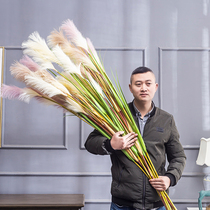 Reed flowers and plants new long simulation flower dog tail living room decoration ornaments dried flowers landing plant wedding room housewarming