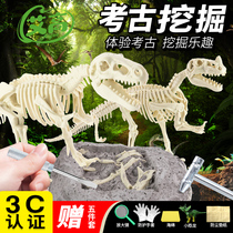 Dinosaur fossil Tyrannosaurus Rex skeleton model children handmade diy treasure hidden boy archaeological excavation toy