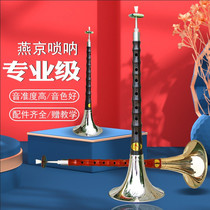 Yanjing Suona musical instrument full set of professional B beginner D tone adult C large medium and small horn send whistle