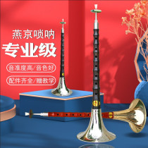 Beginner high-end century old mahogany suona instrument full set Professional Performance Solo Lock na big and small horn