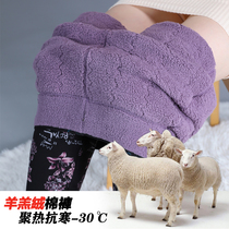 Lamb velvet warm pants women middle-aged and elderly elastic high waist leggings mother plus velvet padded camel pants
