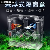 Fish tank isolation box guppies breeding box suspended small fish juvenile tropical fish incubator outside the cylinder independent delivery room