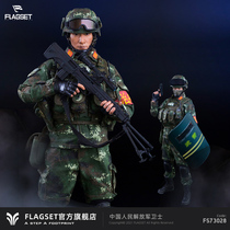 (Spot) Flagset Chinese Peoples Liberation Army Defender 73028 1 6 Bing Model Mens Gift