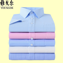 Youngor short-sleeved shirt Mens business casual cotton non-ironing summer loose professional formal dress half-sleeve thin shirt