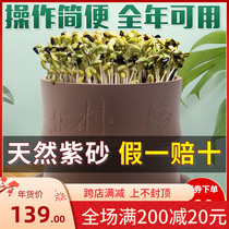 Bean sprouts machine home automatic special clearance large capacity bean tooth machine raw soybean mung bean sprout basin sprout pot