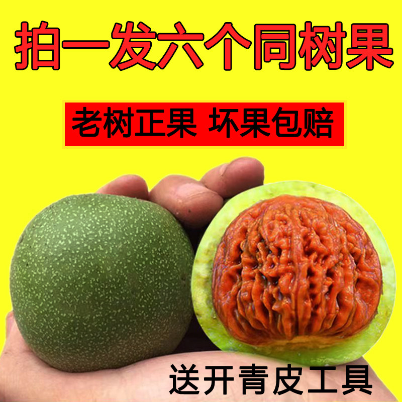 闷尖狮子头文玩-闷尖狮子头文玩促销价格、闷尖狮子头文玩品牌- 淘宝