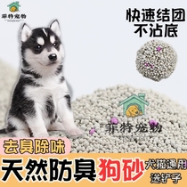 Dog sand sand dog pet special deodorant dog toilet small dog puppies urine anti-stepping bentonite bentonite