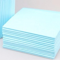 100 Slices Pet Urine Mat Small Pooch Supplies Paper Diaper Rabbit Teddy Urine Not Wet Dog Mat Toilet Sepp Urinals Mat