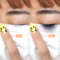Little Red Book recommends bidding farewell to no God eye) eyelash base liquid thick curling eye eyelash eyebrow nutrient solution
