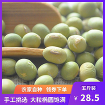Farm self-planted small green beans green core big green beans green soybeans green skin soybeans oval dried green skin soybeans five kg
