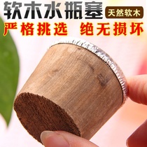 Hot water bottle cap stopper food grade wood universal eight-pound household warm bottle stopper Cork water bottle accessories