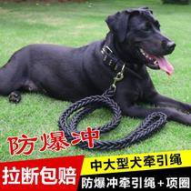 Dog traction rope Large and medium-sized dog walking rope Golden Maura Braddock Herding dog chain collar Pet supplies