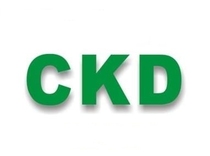 CKD pressure regulator Solenoid valve RP2000-8-08 in stock